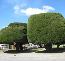 Punta Arenas