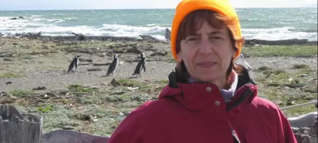 Otway Penguin colony