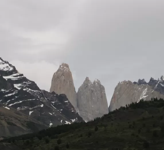 The Towers