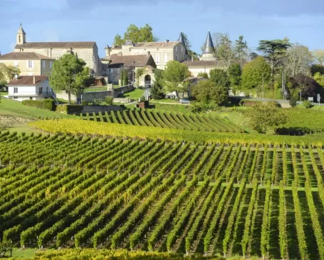 Incredible Vineyards of Bordeaux