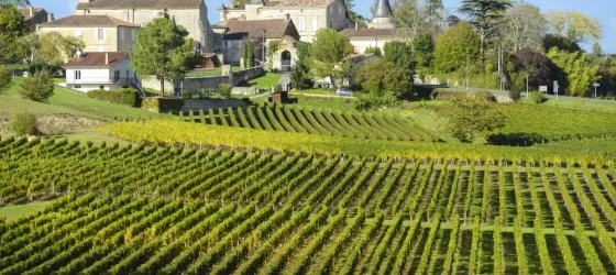 Incredible Vineyards of Bordeaux