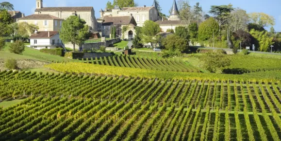 Incredible Vineyards of Bordeaux