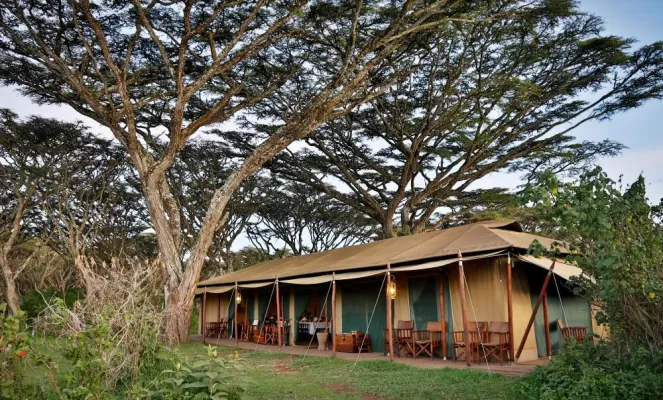 Canvas tents at Lemala Ngorongoro Lodge