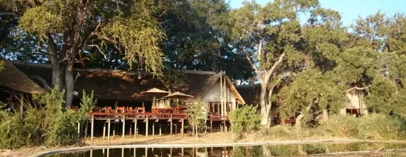 Simbavati River Lodge is located close to a lively watering hole