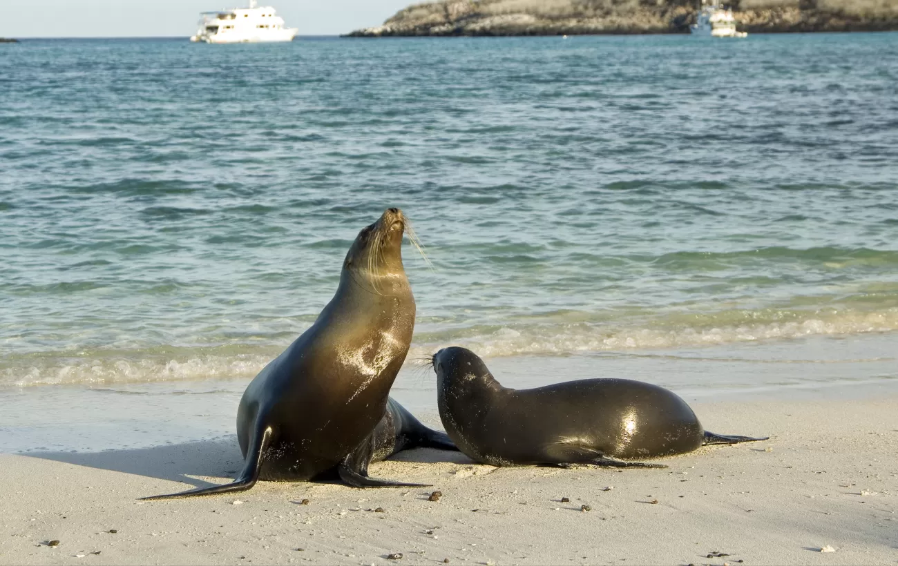 Cruising in the Galapagos