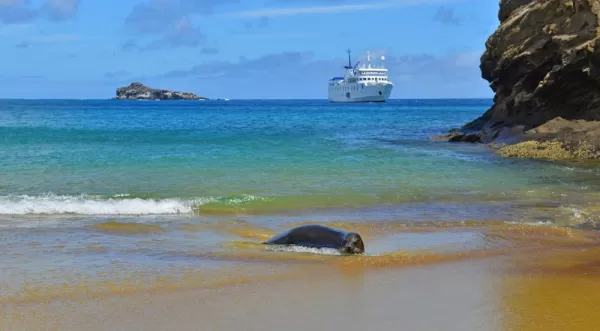 Cruising in the Galapagos - Espanola Island