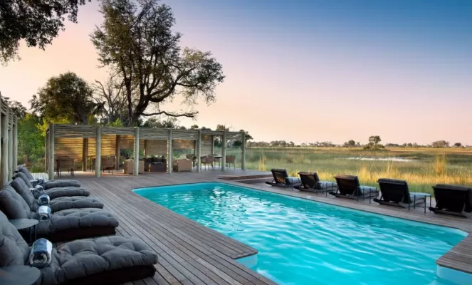 Admire Botswana's unique wildlife while relaxing on the pool