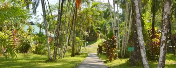 Hotel Villas Rio Mar