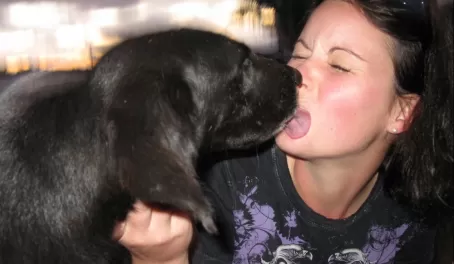 Sharon being licked to death by the street dog!!