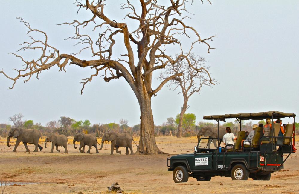 hongersnood prins Opwekking Bomani Tented Lodge - Explore Hwange National Park on Safari in Zimbabwe