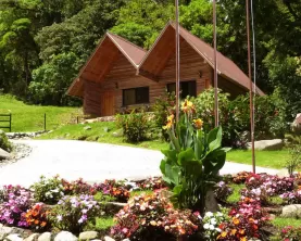 Boquete Tree Trek Resort