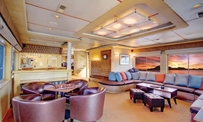 Lounge and Bar-Safari Quest