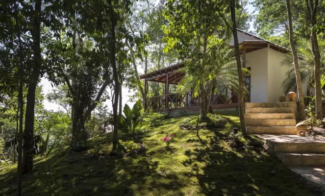 Rainforest casitas are nestled into the native forest