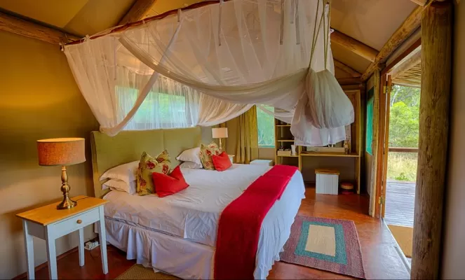 Settle into your comfortable safari tent