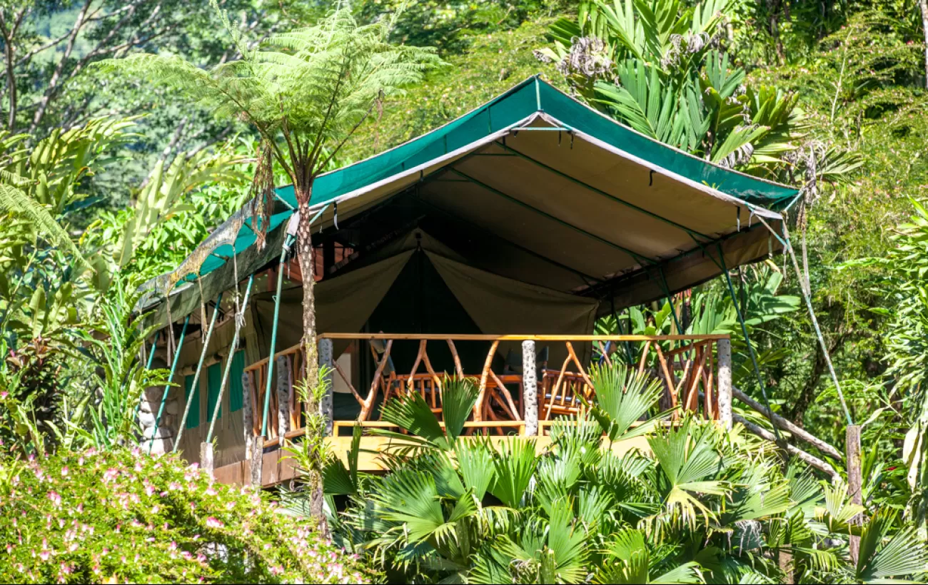Rafiki Safari Lodge