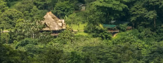 Rafiki Safari Lodge