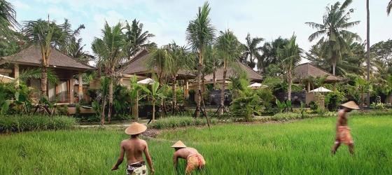 Sankara Resort