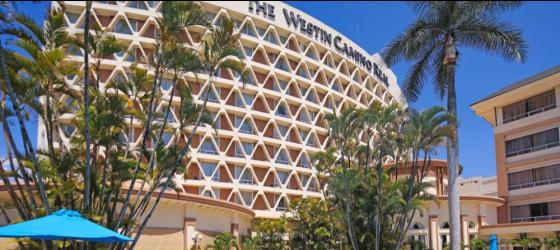 Westin Camino Real Hotel