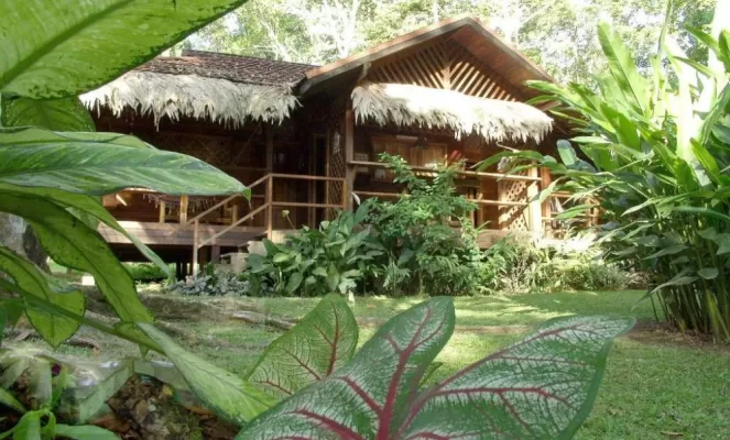 Cariblue Beach and Jungle Resort in Cahuita: Find Hotel Reviews, Rooms, and  Prices on