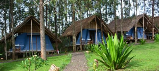 Eco-Omo Safari Lodge