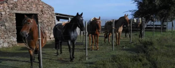 Estancia Los Platanos