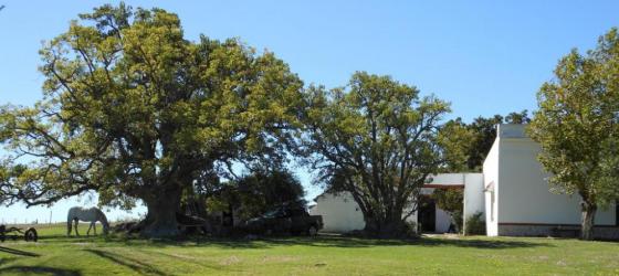 Estancia Los Platanos