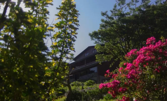 Heliconia Hotel