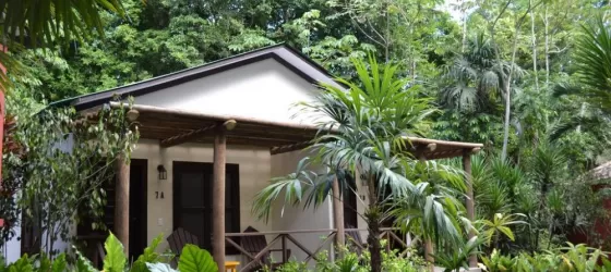 Jungle Lodge Tikal