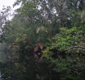 Tortuguero canals