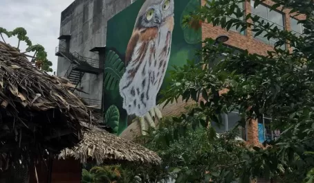 Street art in Coca