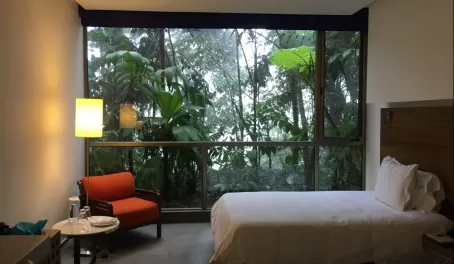 My hotel room at Mashpi Lodge