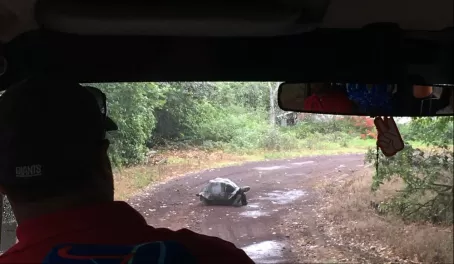 Traffic jam