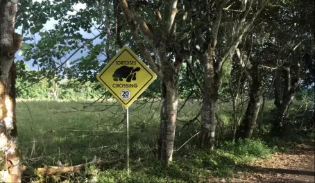 Not too many places you’ll find this sign