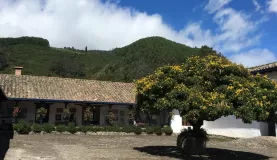 Welcome to Hacienda Zuleta!