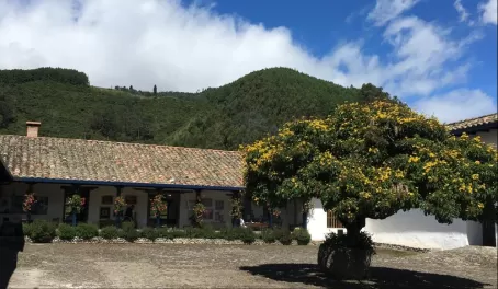 Welcome to Hacienda Zuleta!