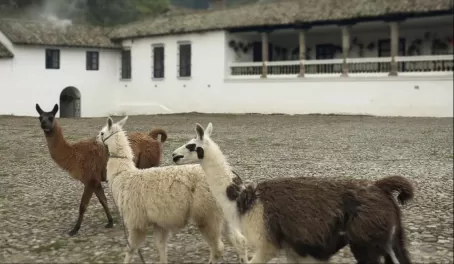 “Como se llama, llama?”