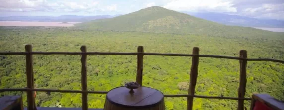 Paradise Lodge