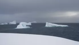 Ice bergs