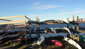 Kayaks, Nuuk
