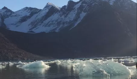 Morning sunshine, Evighedsfjord Glacier