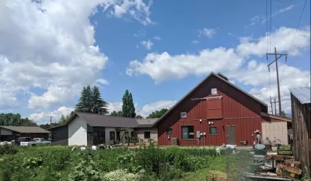The new barn at River Road Farm