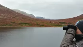 Polar bear watching, Torngat Mountains National Park