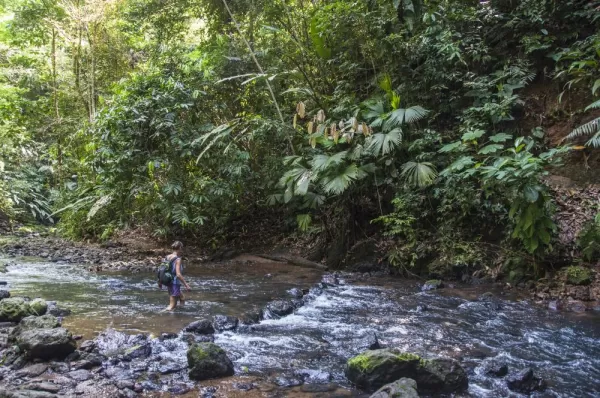 Hiking through the jungle of Costa Rica