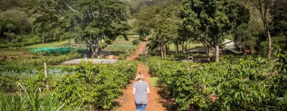 Stroll through the garden at Gibb's Farm