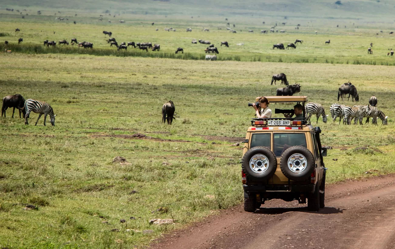 Safari in the Ngorongoro Crater