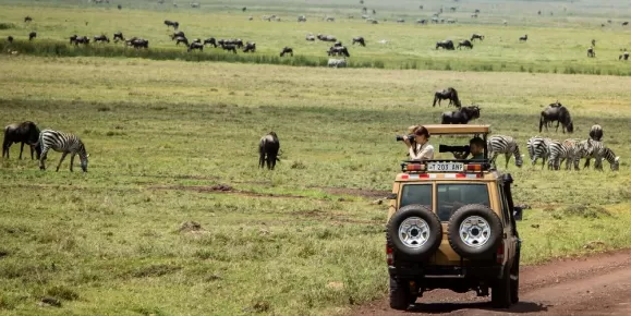 Safari in the Ngorongoro Crater
