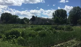 Part of River Road Farm is a dedicated community garden