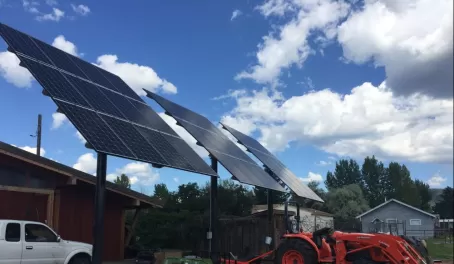 According to one of the farmers, the solar panels recently installed on the farm will pay for themselves within a year