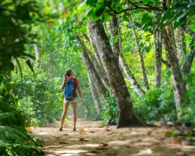 Hiking Costa Rica's stunning rainforests