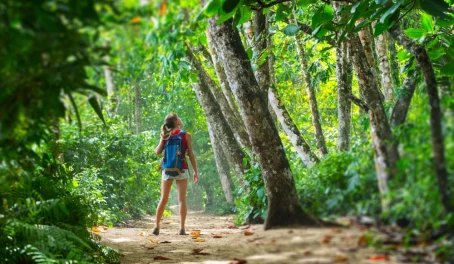 Hiking Costa Rica's stunning rainforests